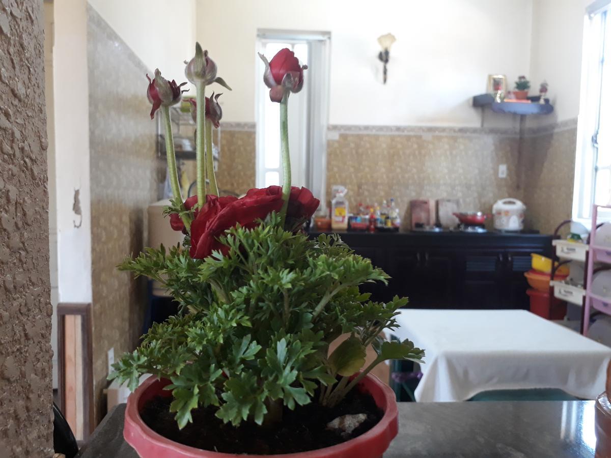 288 Villa Dalat Bagian luar foto